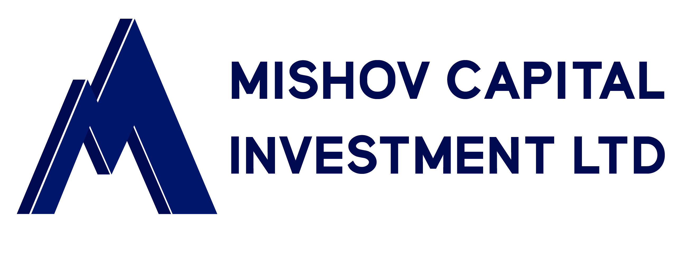 MISHOV CAPITAL INVESTMENT